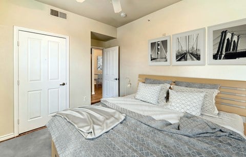 Dominium-Five Mile Creek-Virtually Staged Bedroom